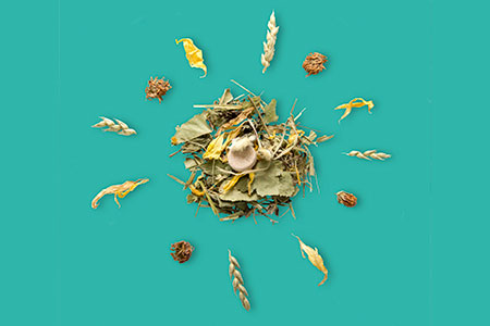 Botanicals Teaser Grün