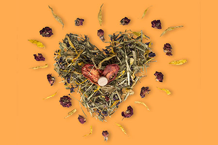 Botanicals Teaser Orange
